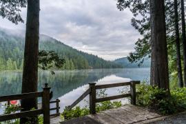 Camp Property on a lake