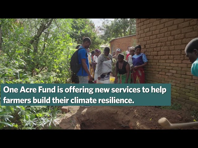 Watch Building climate resilience among smallholder farmers on YouTube.