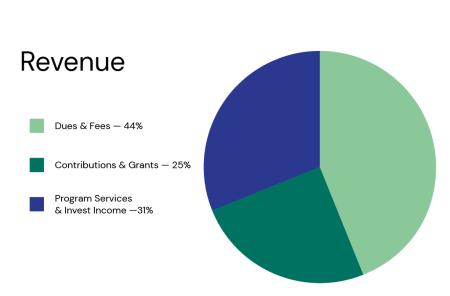 24 Revenue graph